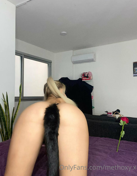 methoxy x top pornstar pics