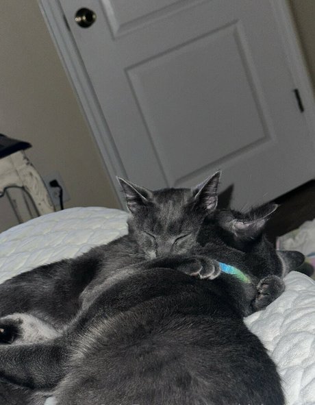 maddylovings star pictures