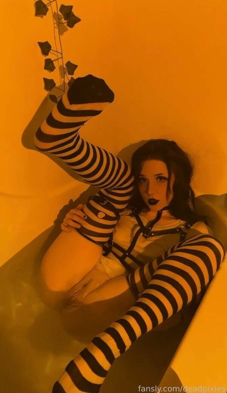deadpixies art pornstar photos