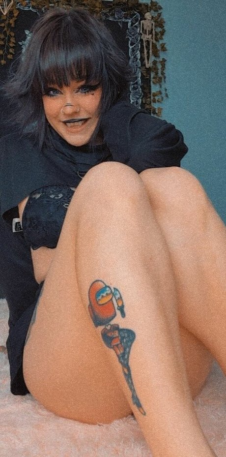 Coophound model top pic