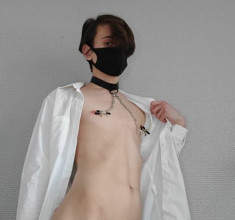 avokado pornstar nude archive