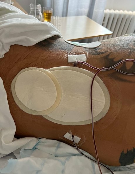 alpheratz model free gallery