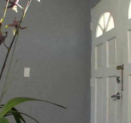 xxx ebony onlyfans pornos pics