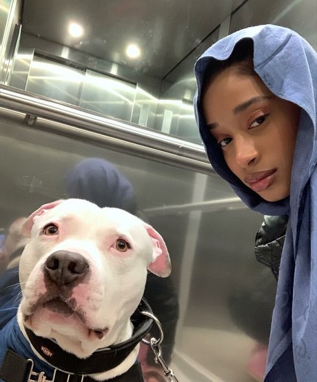 Capeverdian top pornstar image