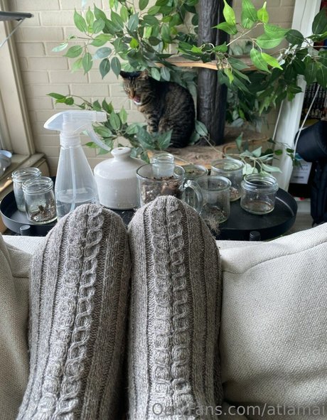 atlamai xxx pornstar archive