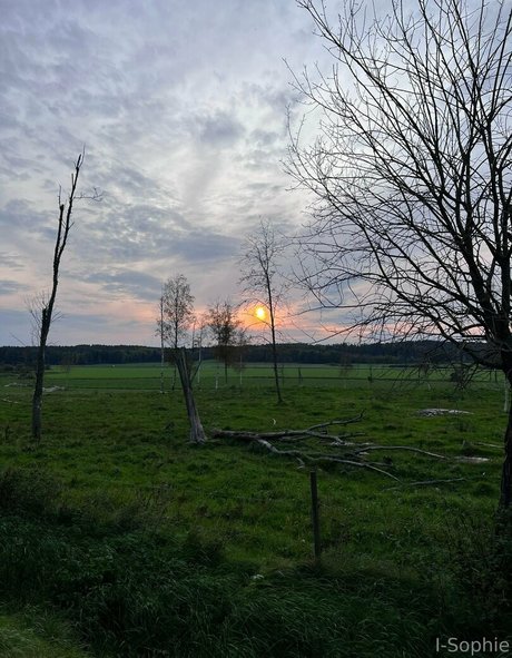 i sophie adult star images