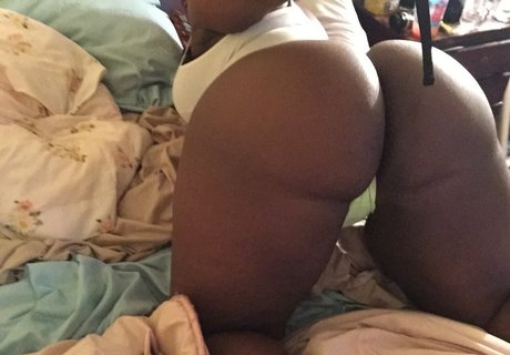 Vivalaquintaa best star images