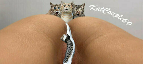 katcouple69 pornstar photo