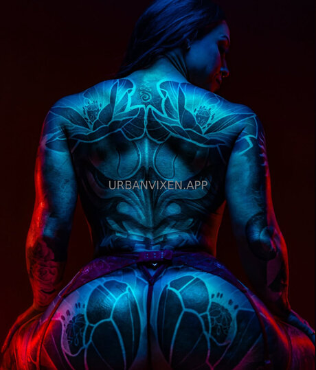 urban vixen star art galleries