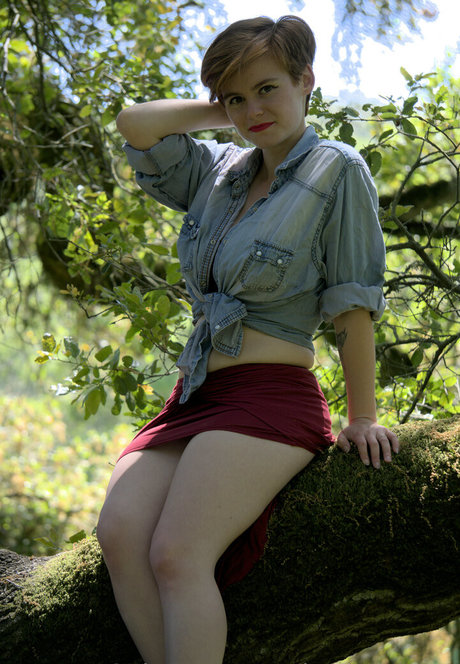 cinnamomum model best photo