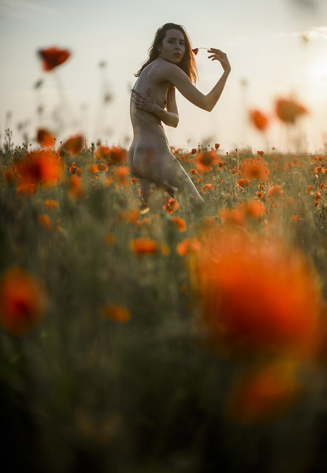 Just Marine star top archive