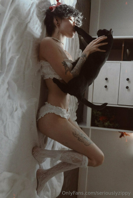 seriouslyzippy art star photo