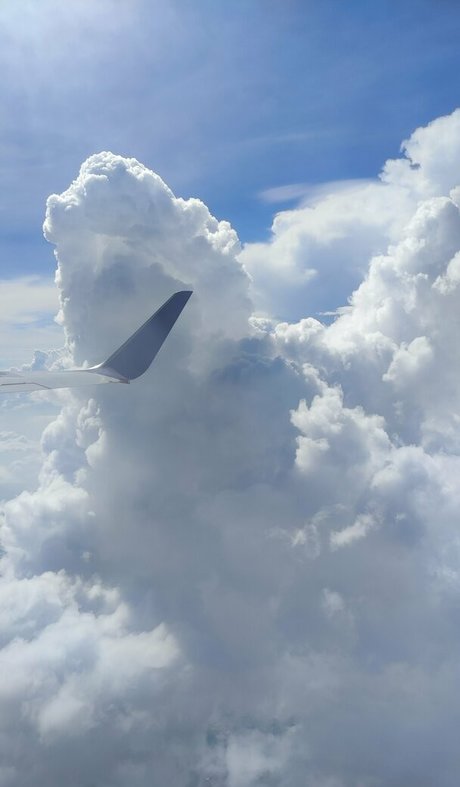 sexy ladyboy onlyfans sexy nude photo