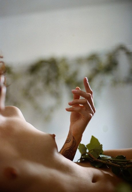 stripper onlyfans free nude gallery