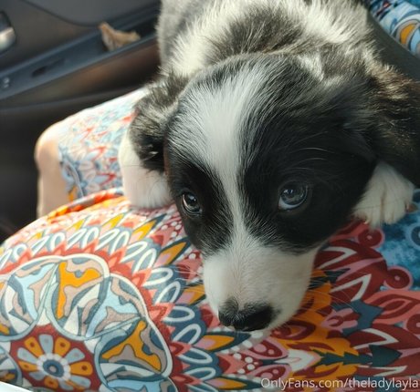 theladylayla model xxx picture