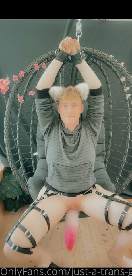 just a trans guy beautiful star gallery