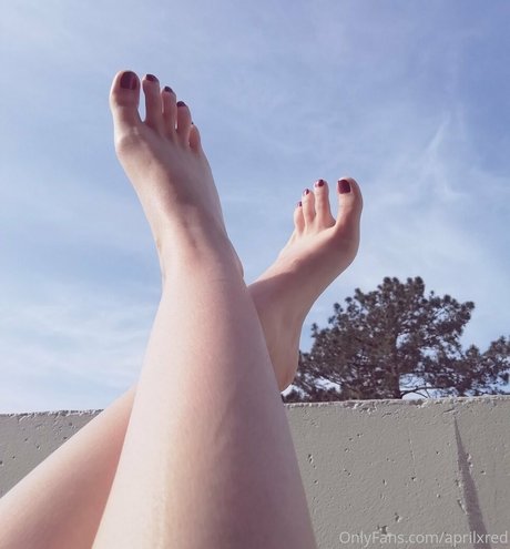 aprilxredfree pornstar free archive