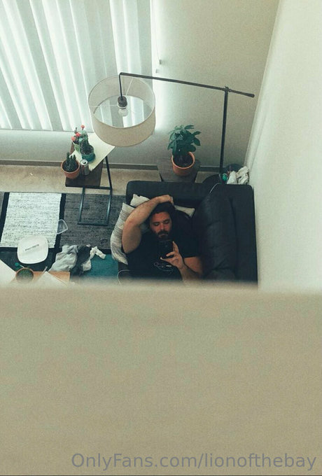 lionofthebay star art img