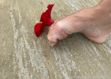 missmatriarch best actress pic