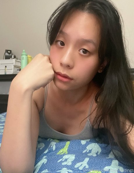 monnietings model best archive