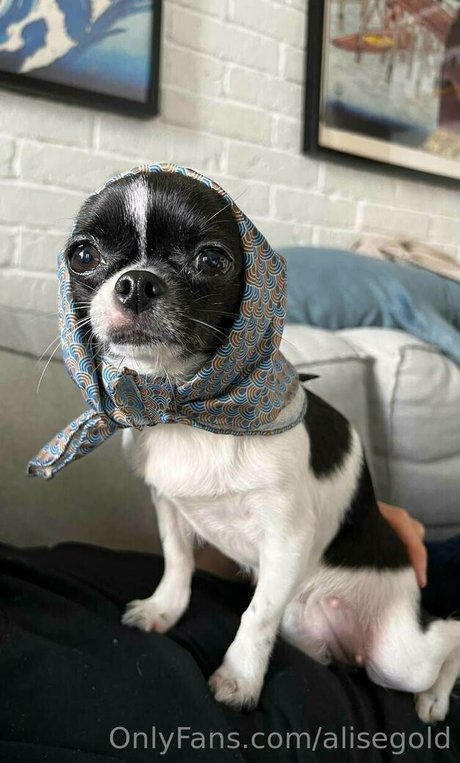 close up onlyfans beautiful xxx picture