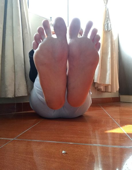 bluesky 01 model picture