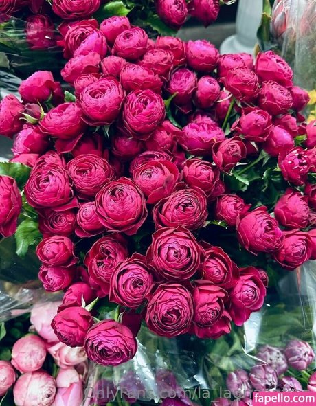 la alegriafree pornstar xxx picture