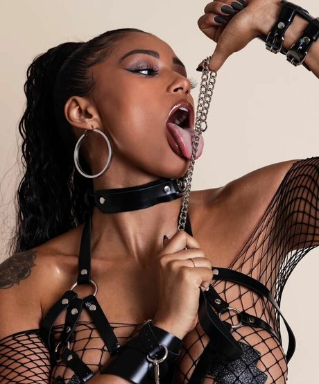 Vivalavictoria Profile Pic