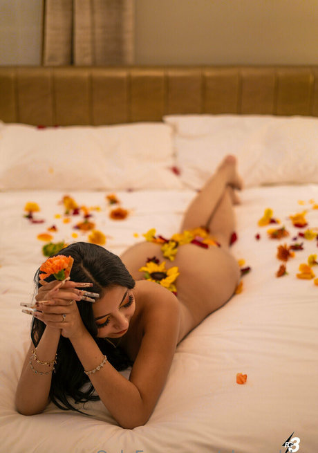 anal dildo onlyfans pornographic archive