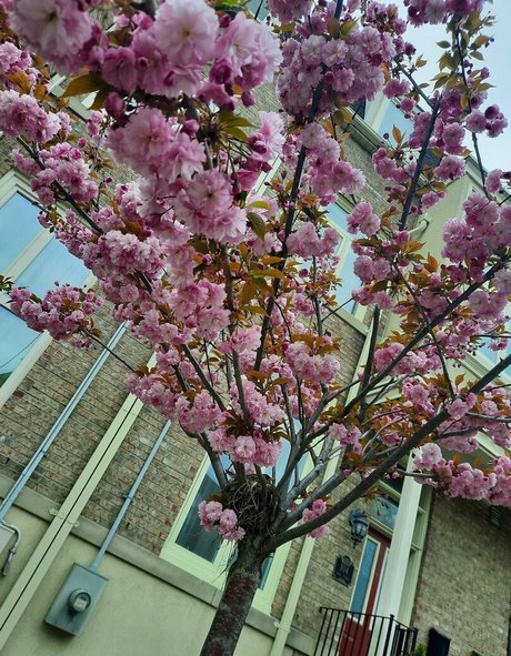 mature solo onlyfans best archive