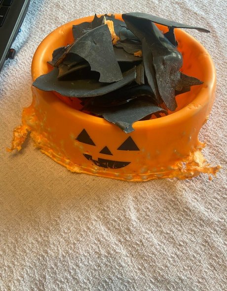 ponytail onlyfans pornos photos