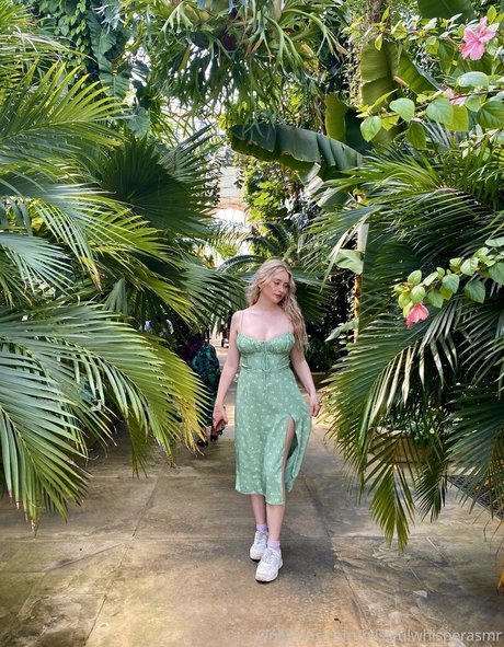 blissfulwhisperasmr erotic star images