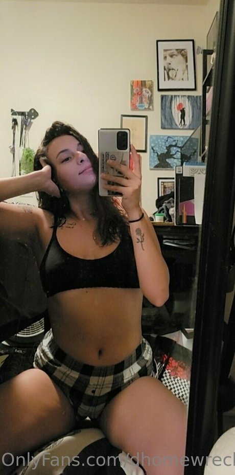 dhomewrecker star top img