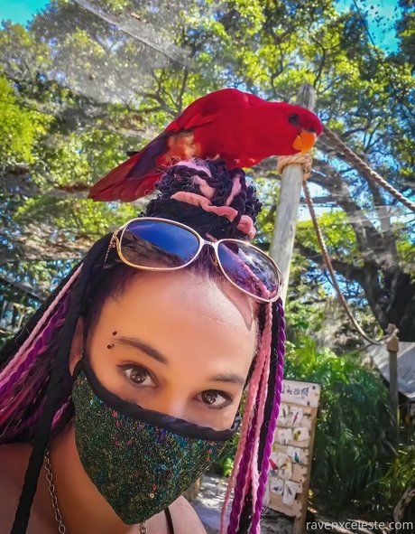 xxkinkxx best star pics