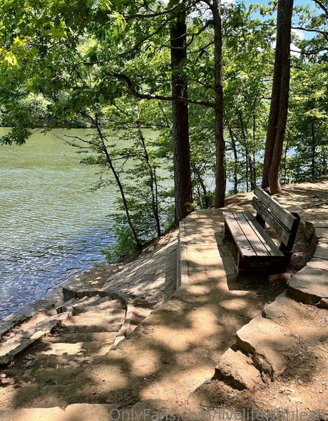 trans ebony onlyfans sexy nude photos