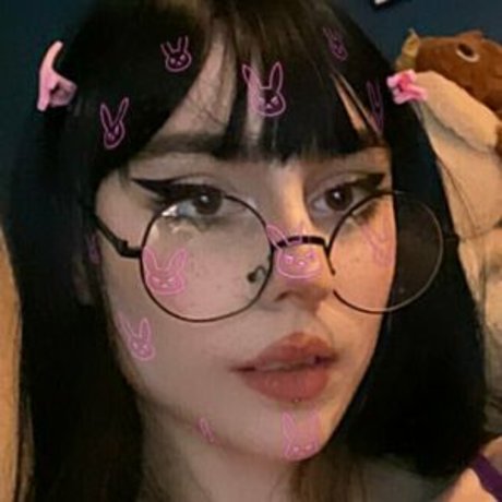 kat the cat star beautiful pictures