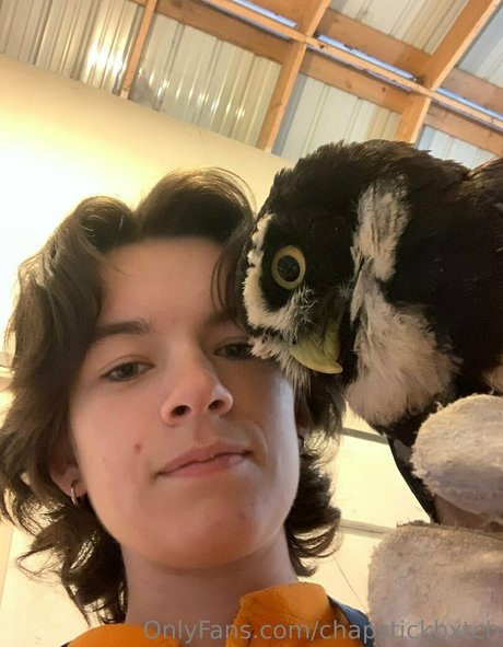 chapstickbxtch pornstar high quality galleries