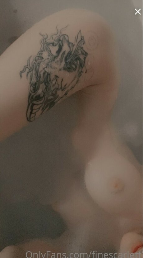 Finescarlett star nudes photos