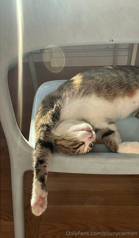 plscrycarmen exclusive pornstar pictures