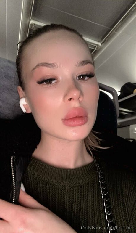 lina pie art star picture
