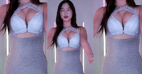 Serimm11 model archive