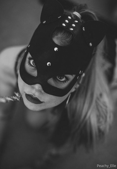 ellehart free free pornstar galleries