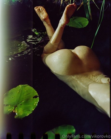 Toree naked pornstar gallery