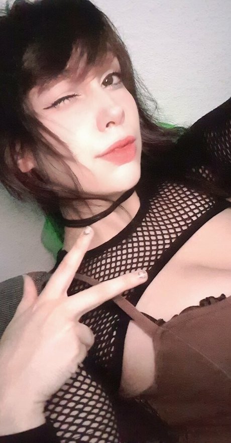 lilly time art star galleries