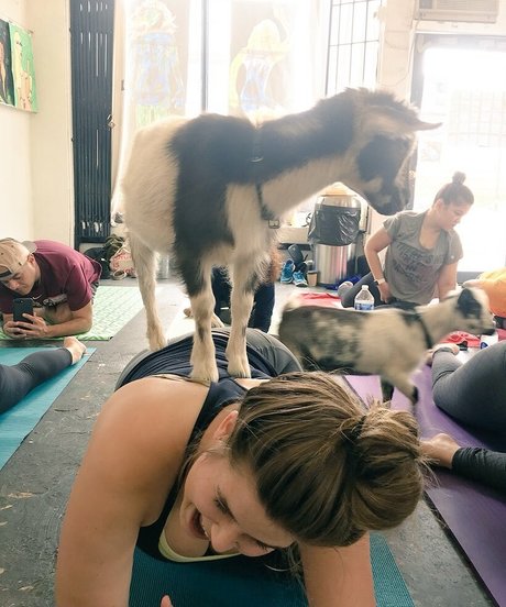 Erica Lindbeck pornstar xxx picture