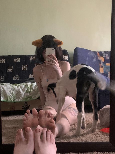 Fluffyfulafel_ perfect pornstar image