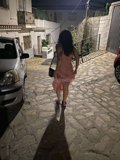 Freepetitebrida model art pic