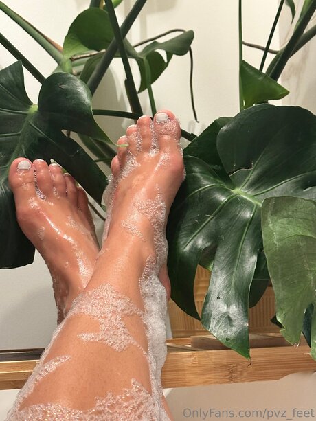 Pvz Feet pornstar high quality image