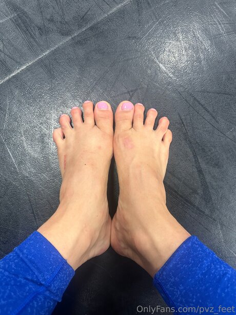 Pvz Feet exclusive pornstar archive