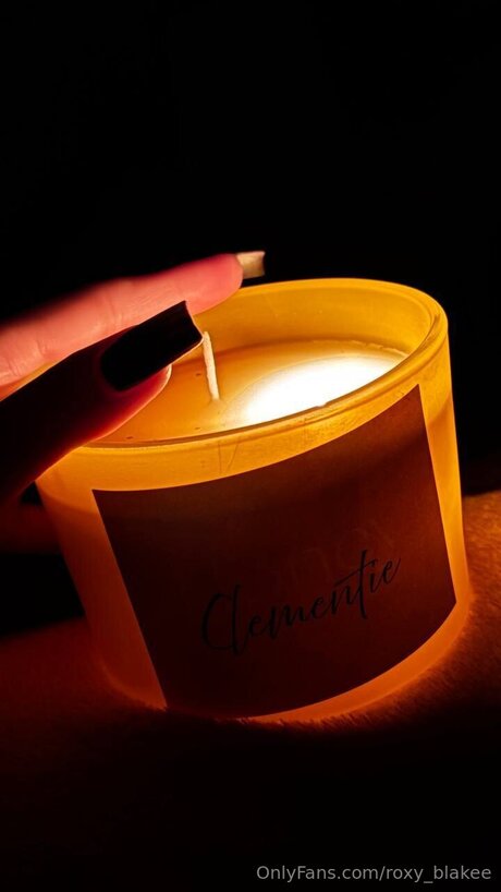 Roxy Blakee star naked pic